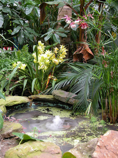 garden pond aerator