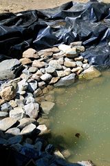 plastic pond liner
